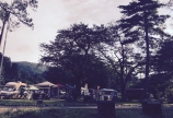 コッコロ in 閑乗寺