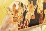 美術展に向けて ⑥