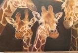 美術展に向けて 13日目
