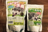 今日のコロ