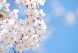 4月7日(金)営業時間変更のお知らせ
