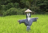 足が棒になるって、こういうことですな