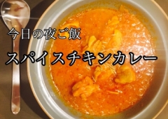 スパイスチキンカレー