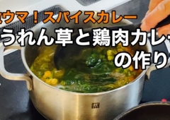 ほうれん草と鶏肉のカレー