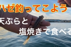 ハゼ釣りに行こう!