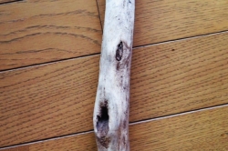「柴田工房」の作品ですわ。②