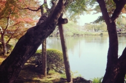 「自撮りの旅」in 兼六園