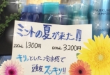夏のキャンペーン