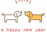 2018年　NEXUSスタート☆彡