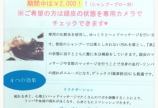 GWスペシャル企画◡̎⃝