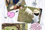 ゴールデンウィークお出かけ情報^_^