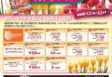 チューリップフェアで♪