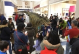 あばれる、あばれる
