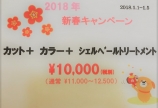 【予告】元旦より!