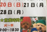11月の定休日