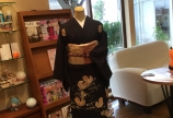 今月の着物