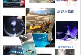 日本一古い☆魚津水族館ϵ( 'Θ' )϶