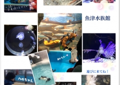 日本一古い☆魚津水族館ϵ( 'Θ' )϶