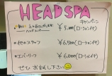 ヘッドスパキャンペーン╰(*´︶`*)╯