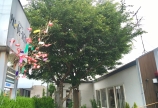 滑川市☆お祭り