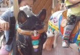 ♪♪ミラージュランド♪♪