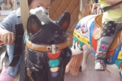 ♪♪ミラージュランド♪♪