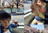 今年度もよろしくお願いいたします!
