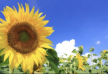 夏休み♬