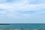 夏らしく♬