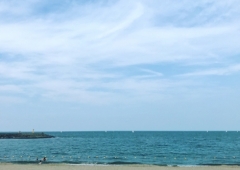 夏らしく♬