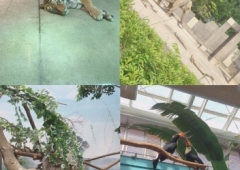 ZOO☆