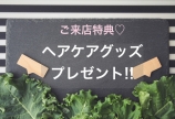 【⭐︎ご来店プレゼント⭐︎】美髪をサポート!ヘアケア商品サンプルプレゼン...
