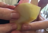 林檎🍎