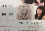 コタ新色追加!