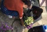 花🌷🌸🌹🌺🌻🌼