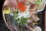 魚🐟