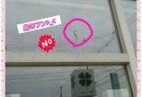 やられちゃった～>_<♪