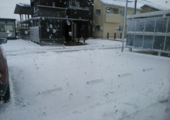 雪・雪・雪・・・