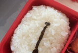 Today's lunch