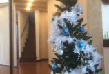 クリスマス
