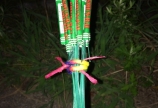 花火